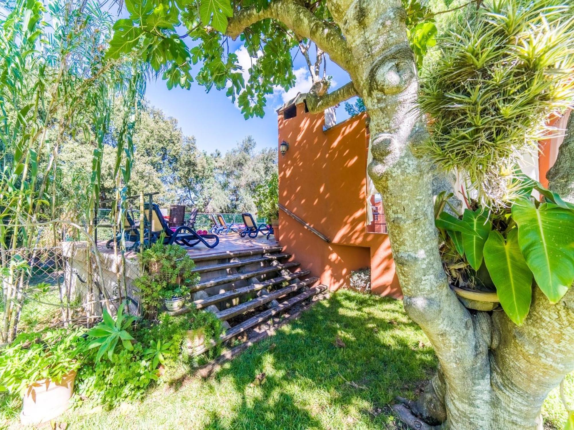 Finca In Mallorca With Private Pool Búger Exterior foto